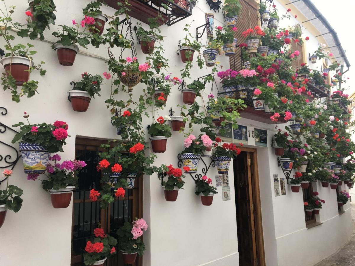 Buhardilla De Wallada Córdoba Exterior foto